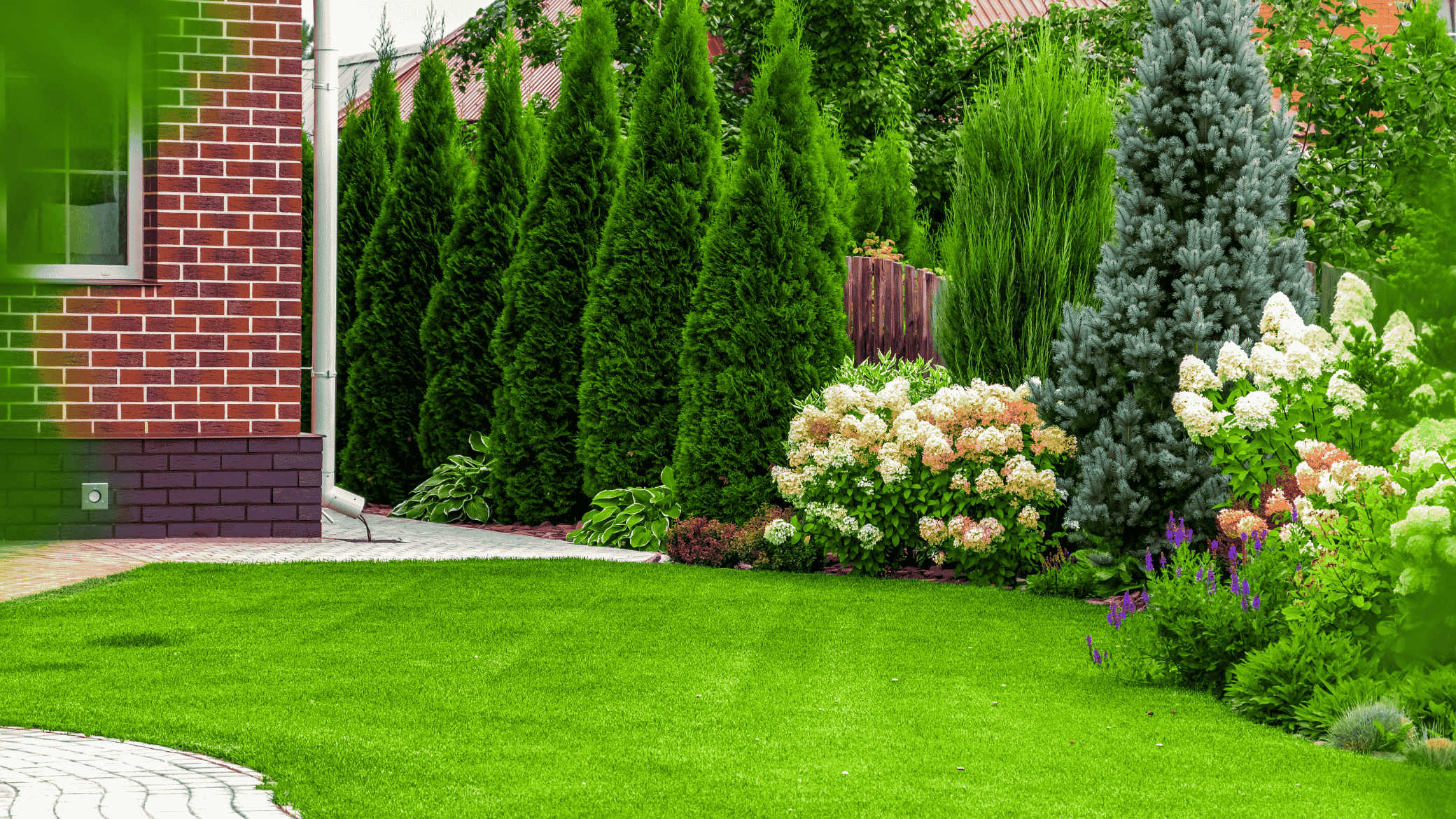 Mowing,Trimming and Edging